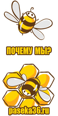 Ульи для пчел дадан